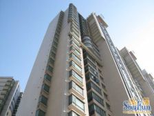 打浦桥, 南北朝向 高区 视野开阔 日照好 诚意出售