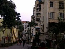 松柏莲岳里 顶楼搭好一室一厅 看房方便 小区中庭