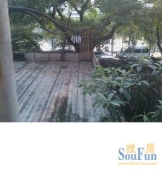 环湖路71号冶金设计院宿舍 南北通透,采光好 近地铁 视野好,诚心出售