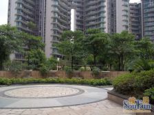 大良东区 双顺峰 向花园 近地铁 视野开阔采光好