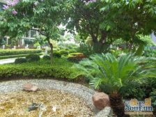 名门豪苑精装3房,高层,诚意出售