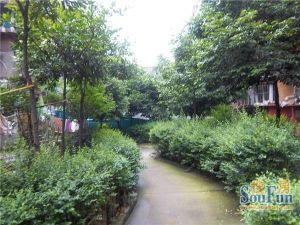 新鸿路五冶住宅区3室1厅东西