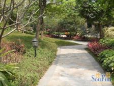 虎门解放路 77平两房两厅 证过两年 税费便宜