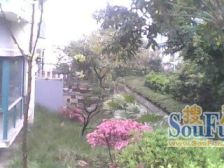 带大花园,花园已做防水,业主安心卖,随时看房