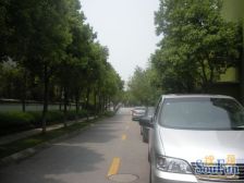 东方庭院(别墅) 3室2厅 南