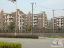 享绿地、万达商圈商品房,精装修小三房,电梯中高楼层