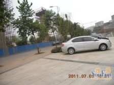 鱼洞 南城国际三房53万