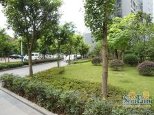 龙洲湾 颜龙山水城二房50万