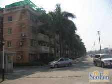 玫瑰花园 带平台花园 出售价格可以谈 看房提前约