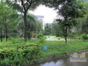 青景山庄 1室1厅 东南