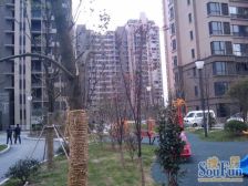 装修好有燃气采光好通风好配套齐全