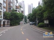 龙头寺 鲁能星城五街区 精装两房出售