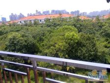 仅有顶楼复式 精装中空大厅 实率高 业主诚意出售