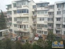 三泾南宅小区3室西朝向530.00万元/套出售