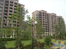 精装二加一户型,楼层好,装修好