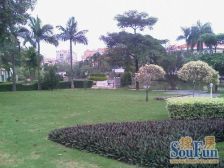 南城 城市假日二期 2室1厅