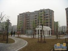 曹路家苑3室2厅南北