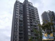 主卧朝南,电梯房,采光充足,交通便利