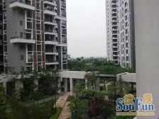 千灯湖 保利花园复式4房南向 仅售346万