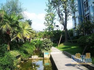 美洲花园一期 4室2厅 南