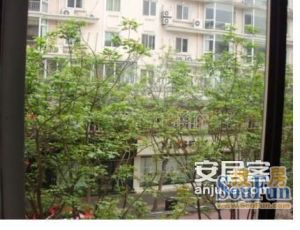 桐梓林小区2室1厅南