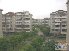 金星绿苑 3室2厅 南 北