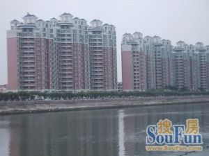 顺德碧桂园西苑江边复式一楼,东南向,出入方便