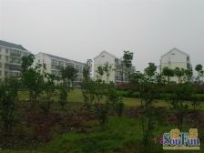 川沙·顺馨佳园·2室·1厅