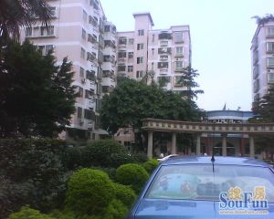 户型方正,视野开阔,通风采光良好