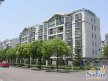 电梯顶复 三层 空中小别墅 视野采光无遮挡 居住舒适