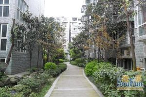 博园世家3室1厅东南西南东北西北