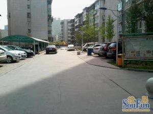 丰产路49号院3室1厅南