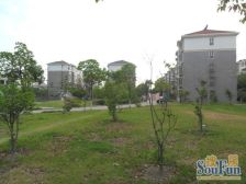 富丽苑3室南朝向365.00万元/套出售