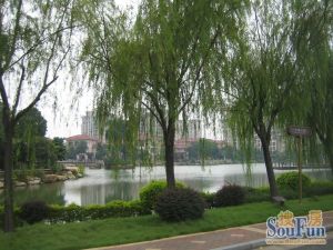 绿化好,视野好,采光好,看房方便