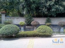 汽博大花园临河清水联排别墅带双车位