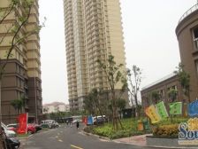 居家装修,采光充足,小区中心位置,主卧朝南