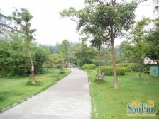 新江湾城·时代花园·2室·2厅