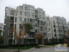 菊园新区·新城枫景·5室·2厅