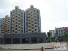 精致小区,采光刺眼,配备书房,品质生活