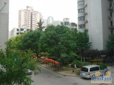 上大东村 1室1厅 南 北