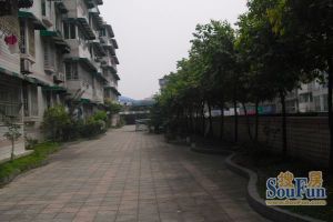 大成公寓3室2厅西北