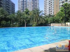 房子中高楼层 带租约满五唯一诚心出售