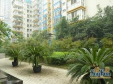 幸福枫景 3室2厅 南