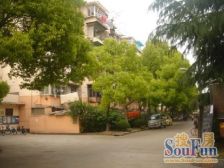 楼园小区 精装修 拎包入住 一梯两户 户型正气 诚心出售