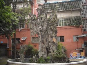 金江苑3室1厅南