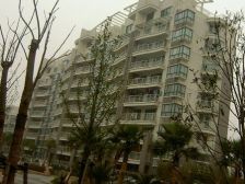 菊园新区·新城枫景·3室·2厅