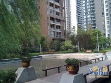 星城汇 1室1厅 南