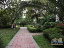 西区地标 3室1厅 西北