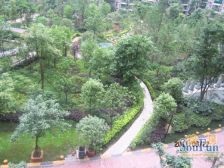 索尔龙舟 1室1厅 南