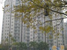 92平大两房,楼层好位置安静